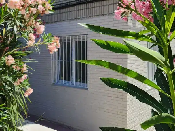 Vista exterior de Piso en venta en Madrid con Aire acondicionado, Jardín privado y Piscina
