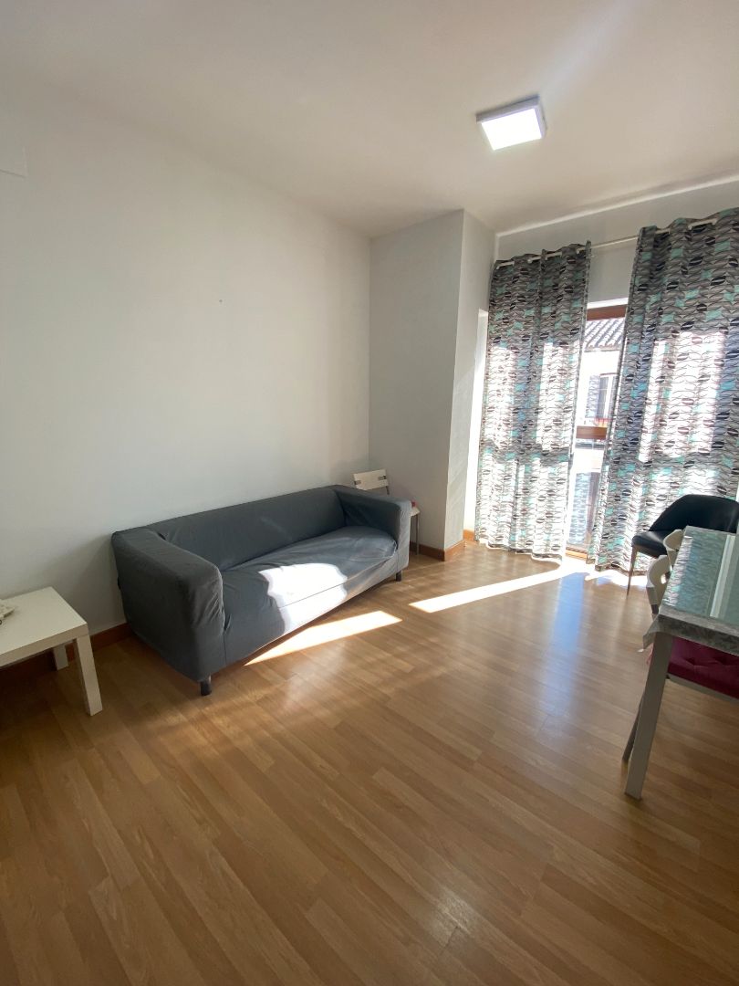 Sala d'estar de Apartament de lloguer en Málaga Capital amb Moblat, Rentadora i Microones