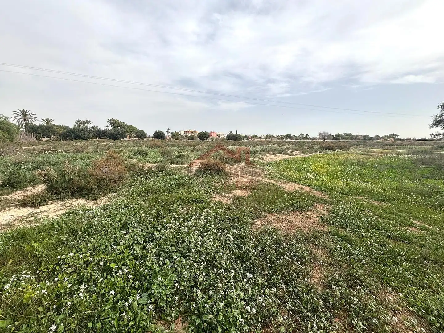 Grundstücke zur Miete in Elche / Elx