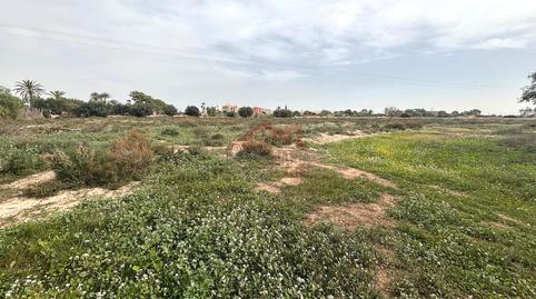 Foto 4 von Grundstücke zur Miete in El Altet, Elche / Elx