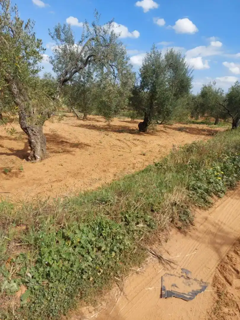 Finca rústica en venda en Pilas