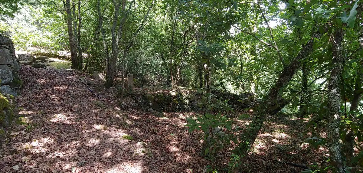 Casa o xalet en venda en Salceda de Caselas