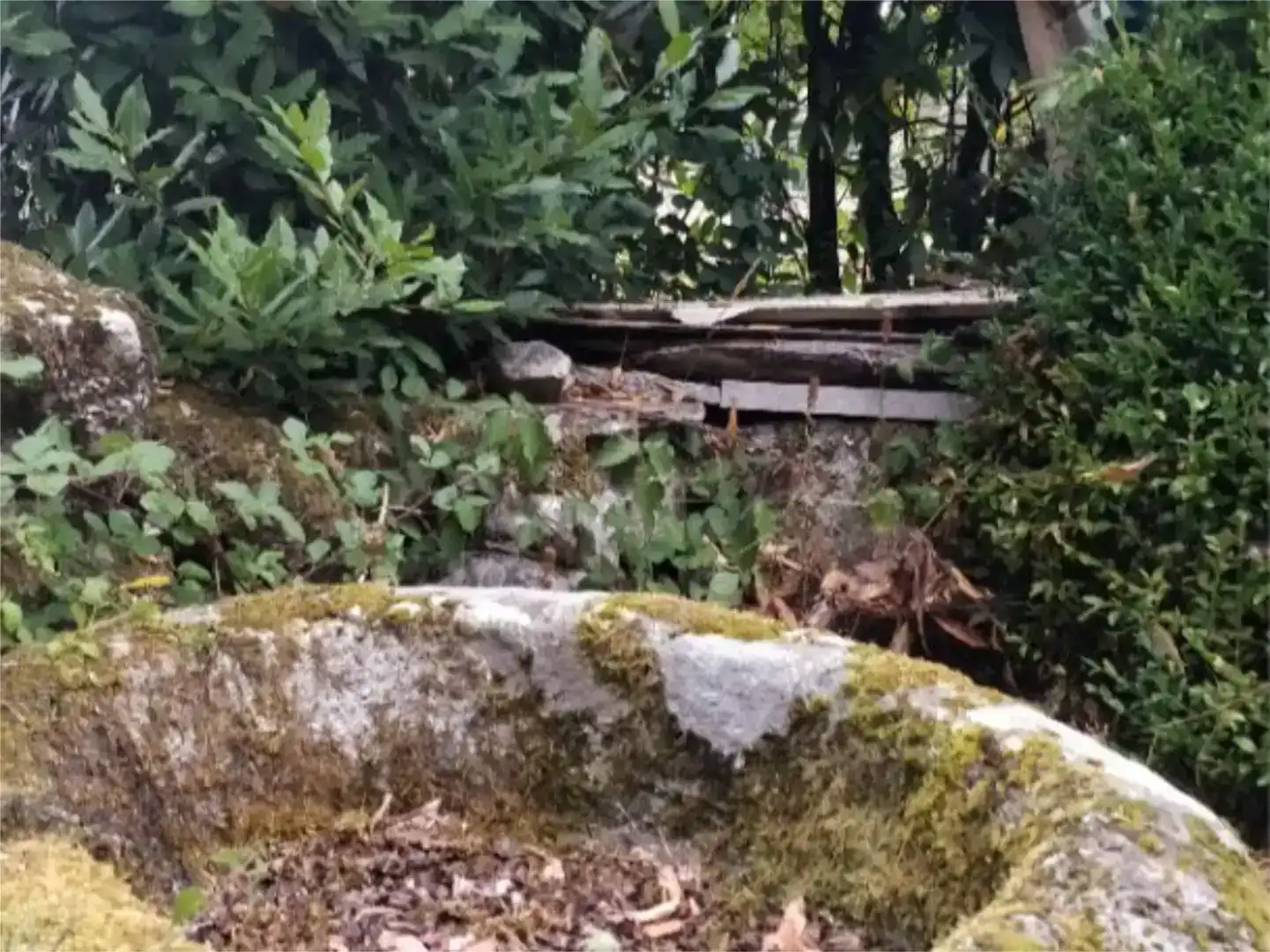 Vista exterior de Finca rústica en venda en Monforte de Lemos