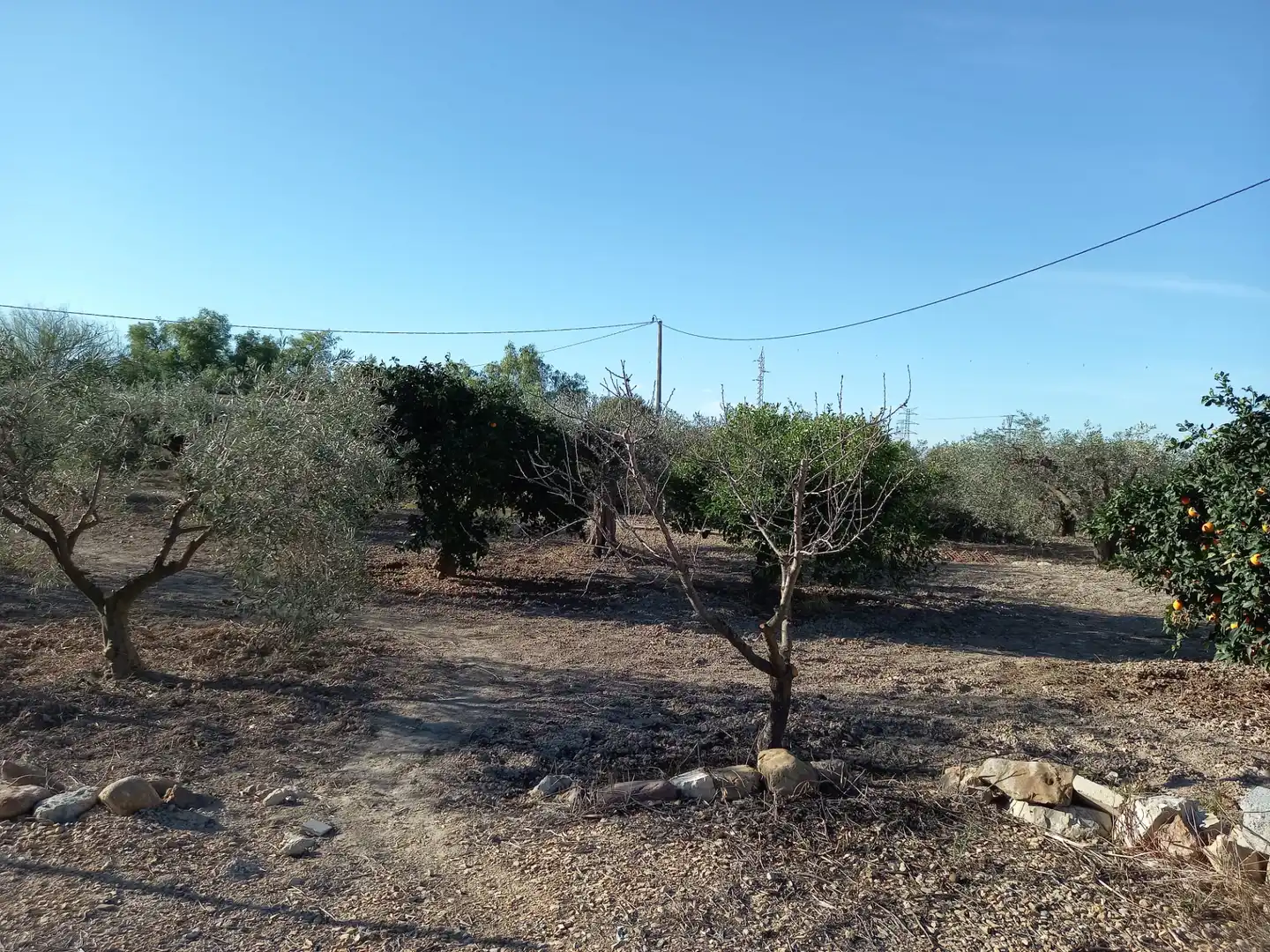 Casa o chalet en venta en Alhama de Murcia con Calefacción, Jardín privado y Terraza