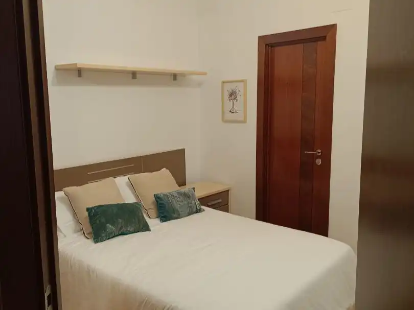 Apartments for rent in Paseo de Carmelitas, 1, Salamanca Capital