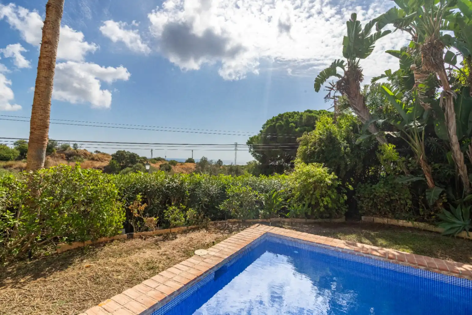 Piscina de Casa o xalet en venda en Marbella amb Aire condicionat, Calefacció i Jardí privat