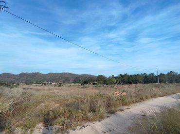 Terreno rustico in vendita a Yecla