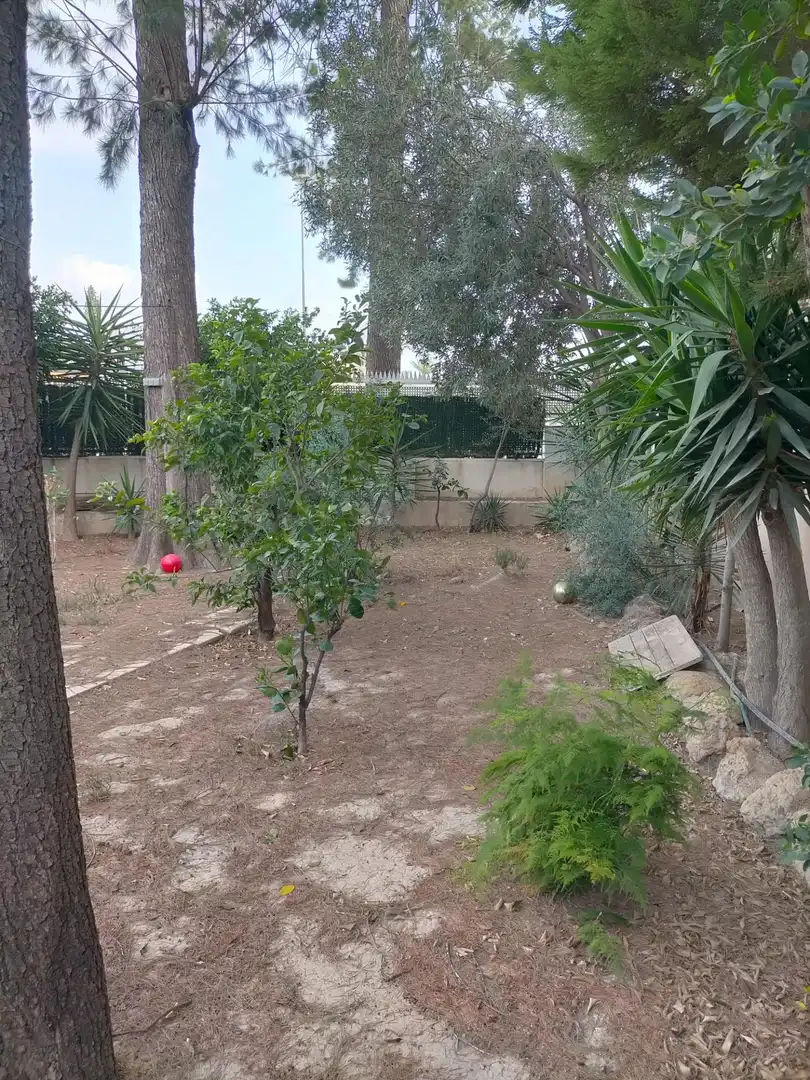 Casa amb jardí en venda a GARCÍA ROGEL, imagen 11
