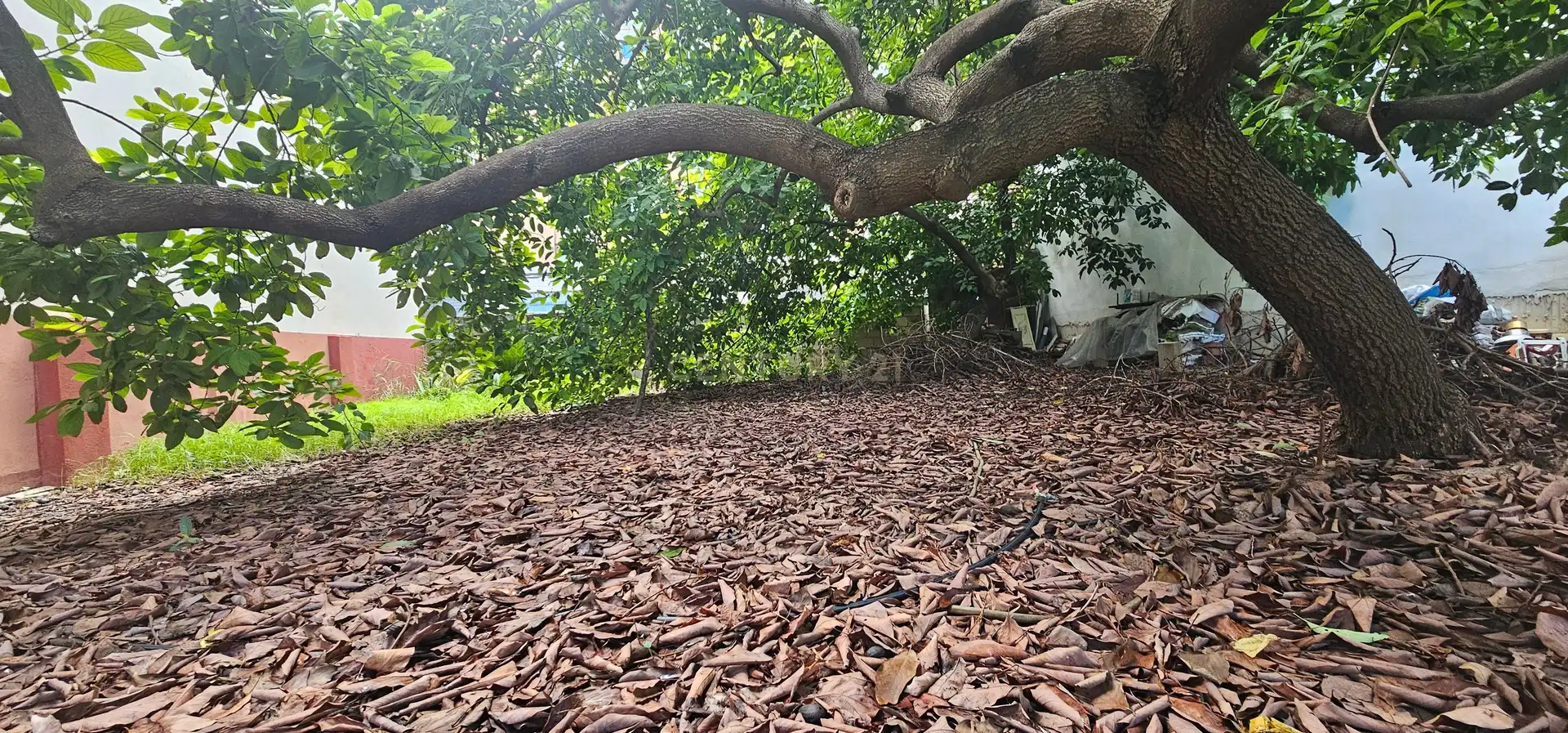 Garten von Residential zum Verkauf in Piles