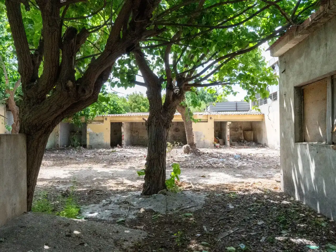 Finca rústica en venda en Alicante / Alacant