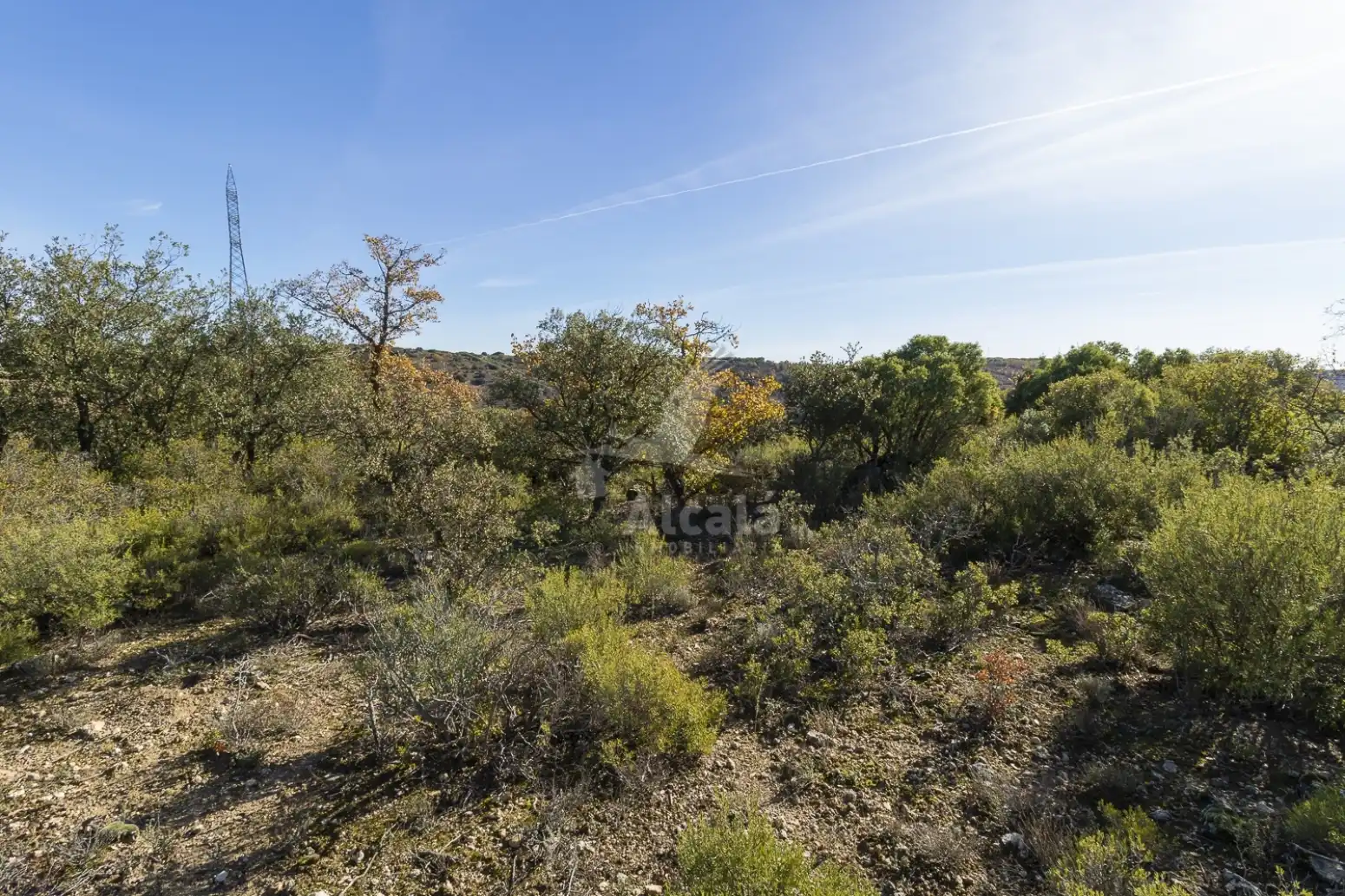 Terreno en venta en Yebes