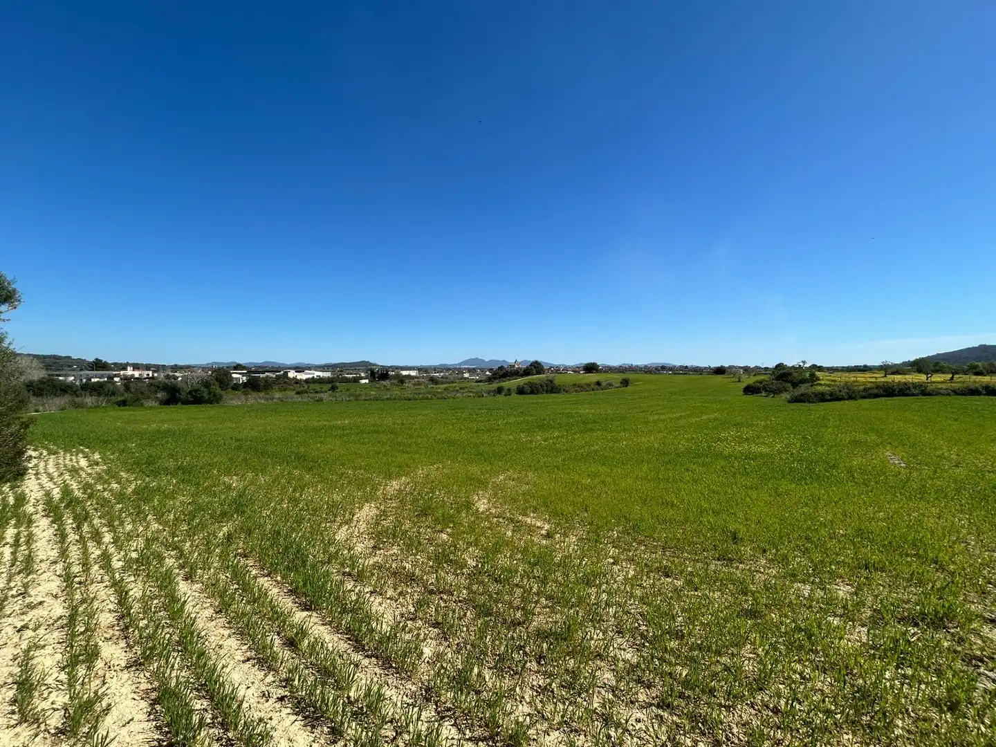 Terreny residencial en venda a Carrer Carrer Major 1, imagen 9