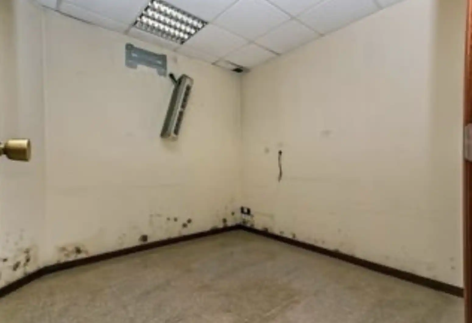 Local commercial à vendre à Esplugues de Llobregat - FRANCESC LLUNELL, imagen 20