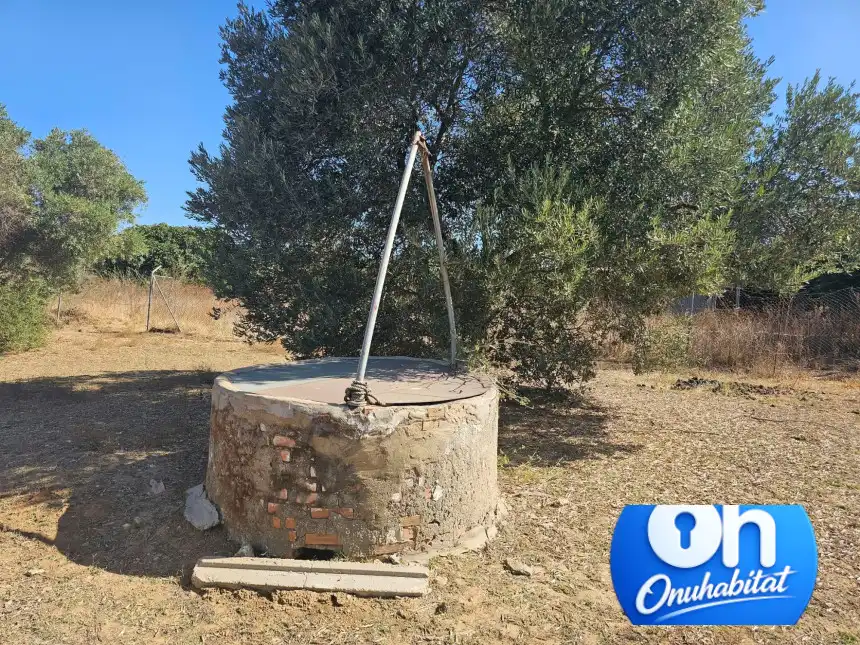 Terrenos y solares en venta en Gibraleón, imagen 12