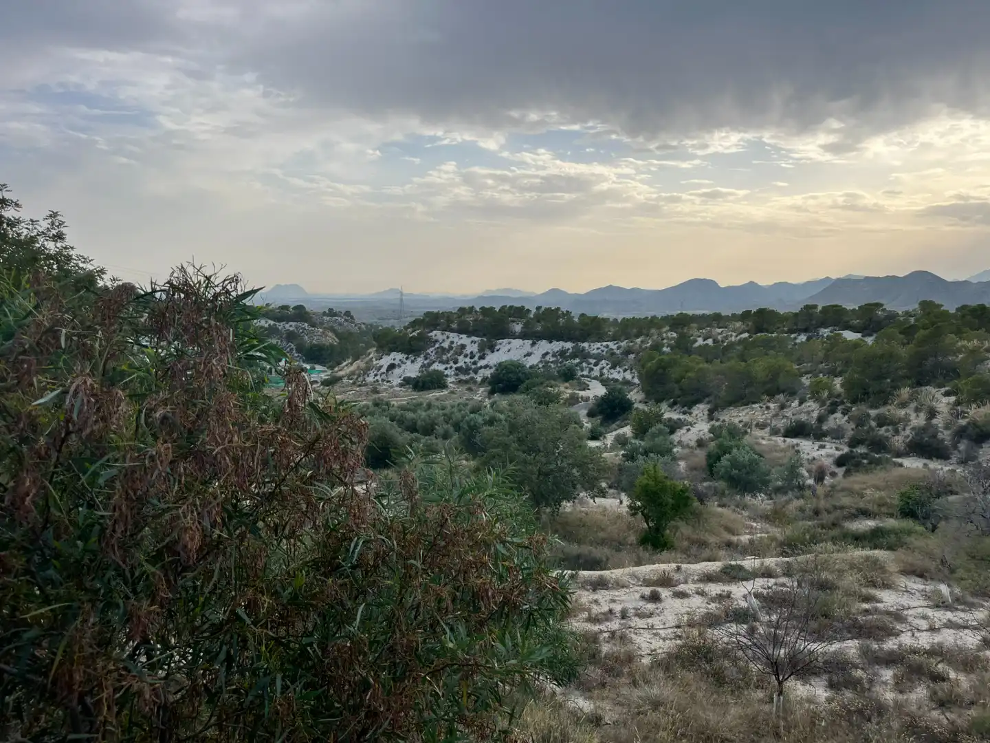 Finca rústica en venta en Busot