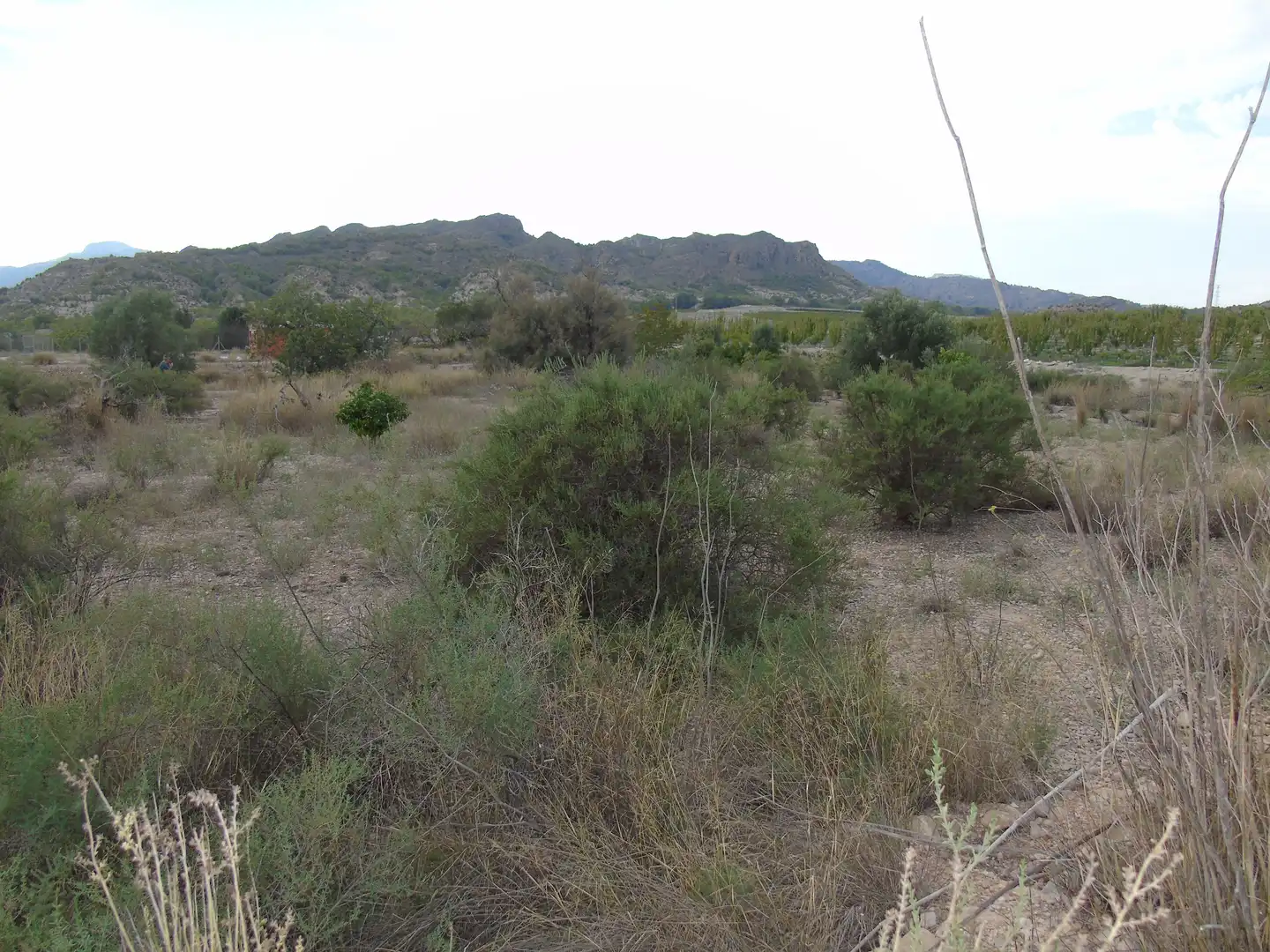 Terrain résidentiel à vendre à Ulea, imagen 7