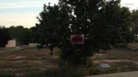 FortunaTerreno, immagine 2