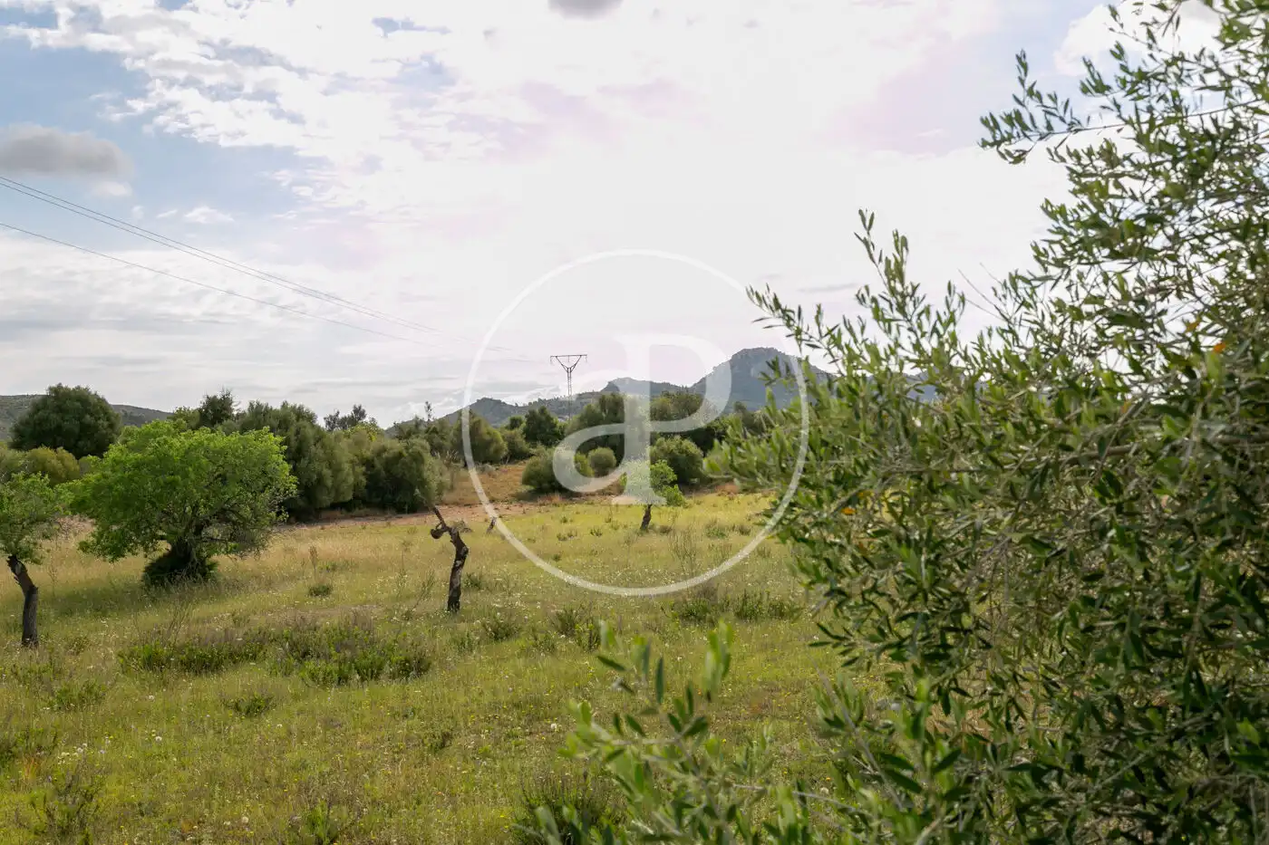 Terreny residencial en venda a Av. Montferrutx, imagen 45