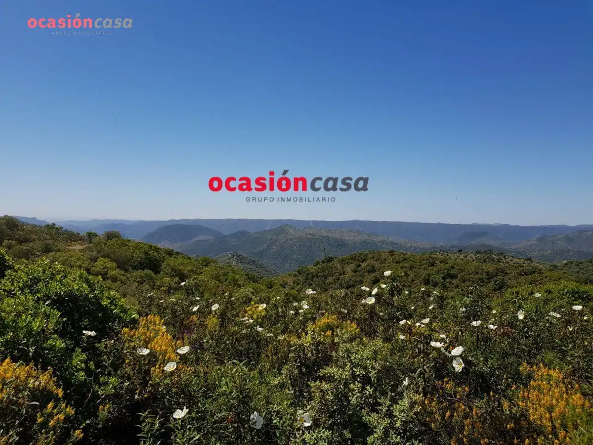Finca rústica en venta en Villanueva de Córdoba con Jardín privado, Trastero y Amueblado