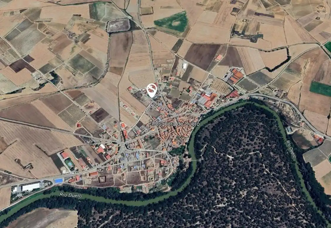 Houses for sale in Pesquera de Duero  with Private garden and Community pool