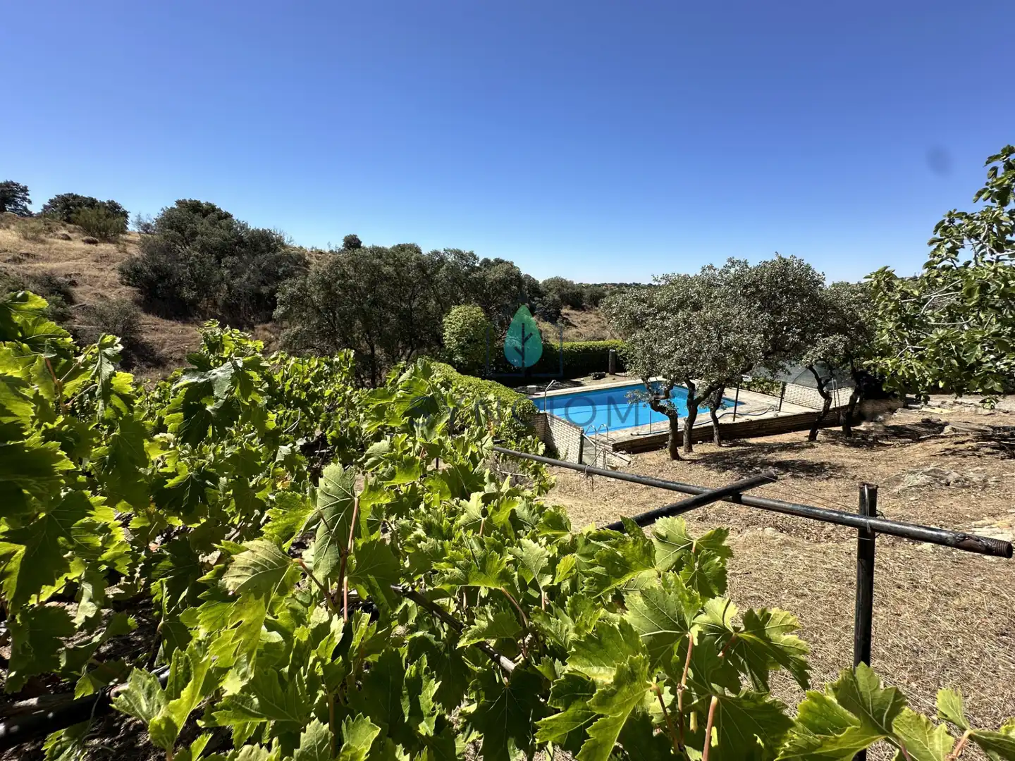 Casa o chalet en venta en Avenida de Peguerinos, Cerro Alarcón