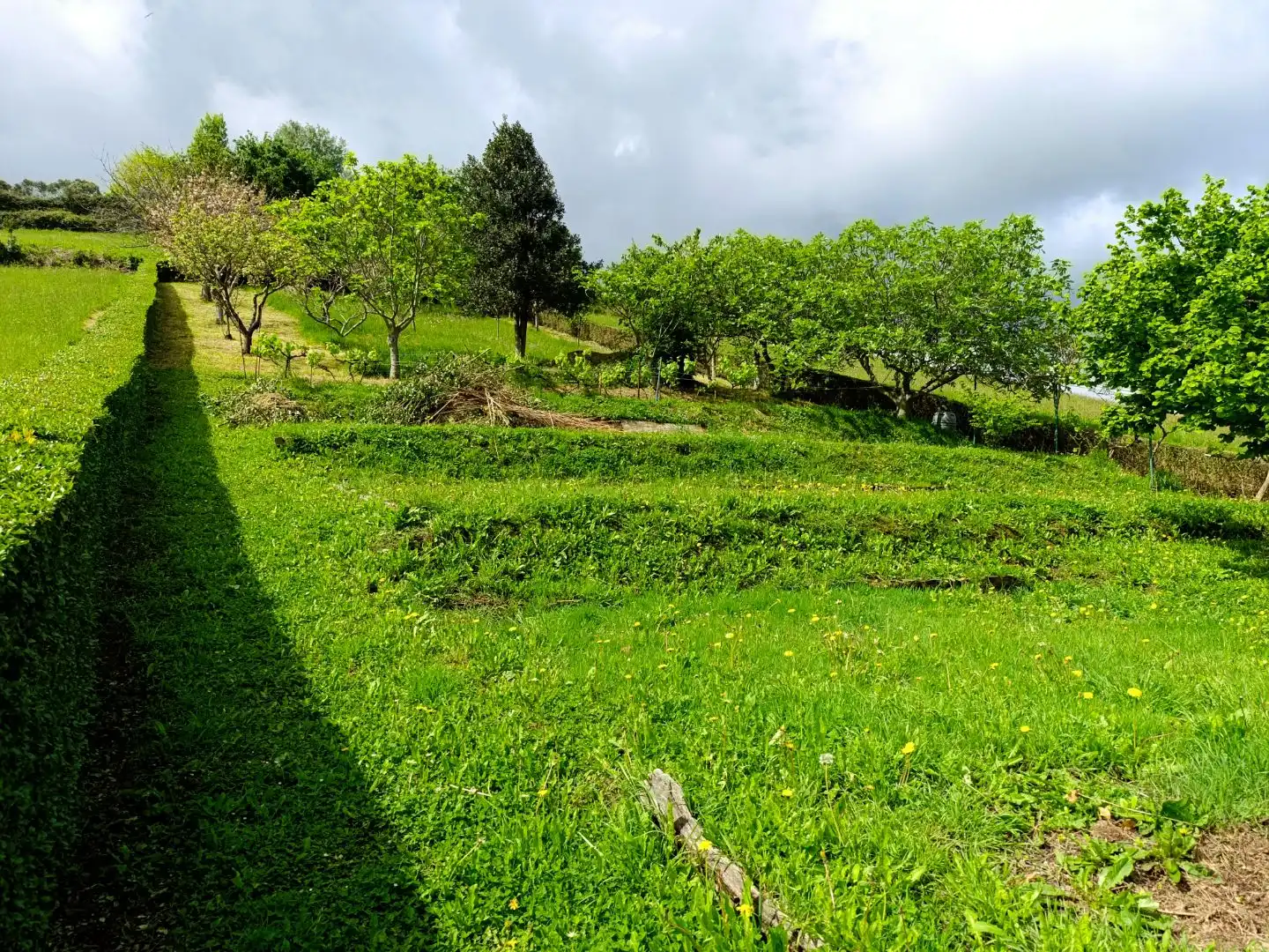 Terreno en venta en Ortuella