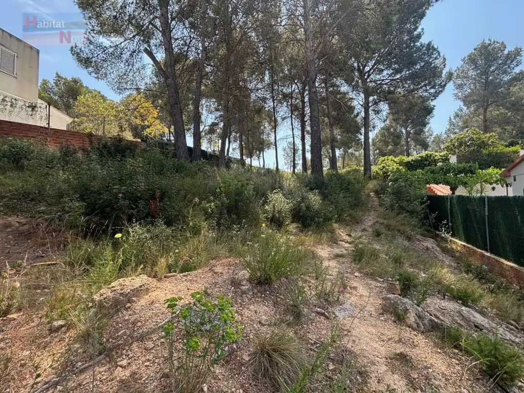 Terreno residencial en venta en Calle Esparraguera, imagen 5