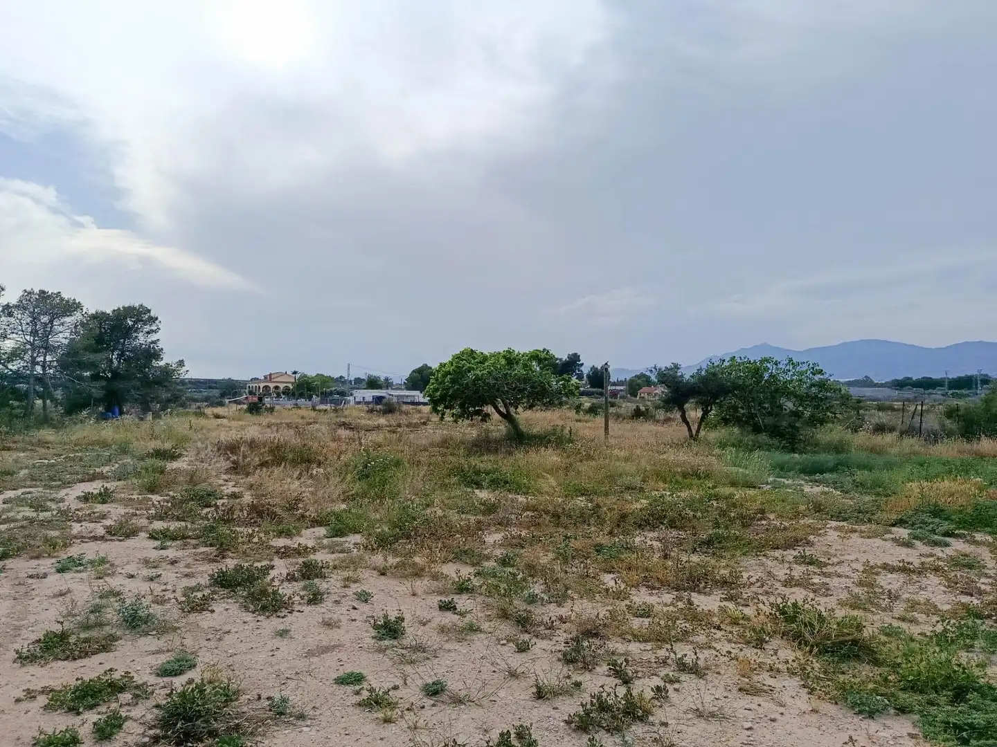 Casa amb jardí en venda a Crevillent, imagen 15