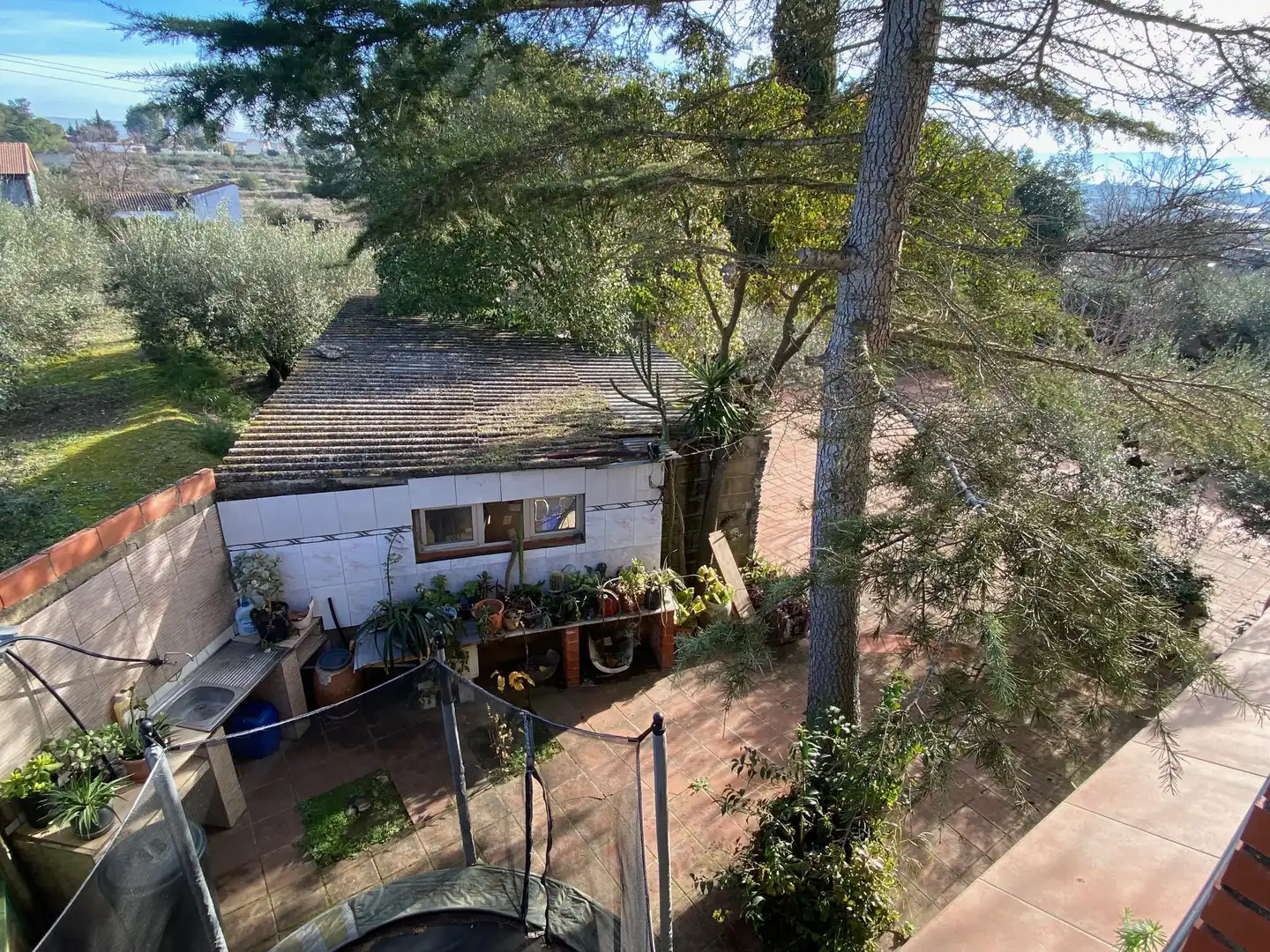 Finca rústica en venda a Benigànim