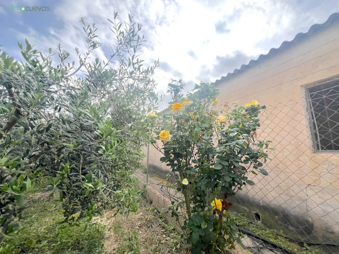 Landhaus mit Garten zum Verkauf in Cuevas del Almanzora pueblo, imagen 28