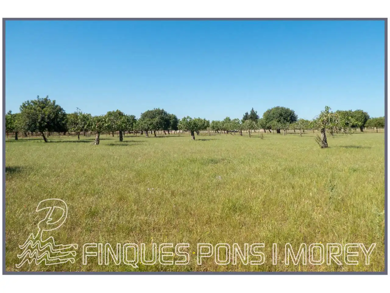 Finca rústica en venda en Campanet
