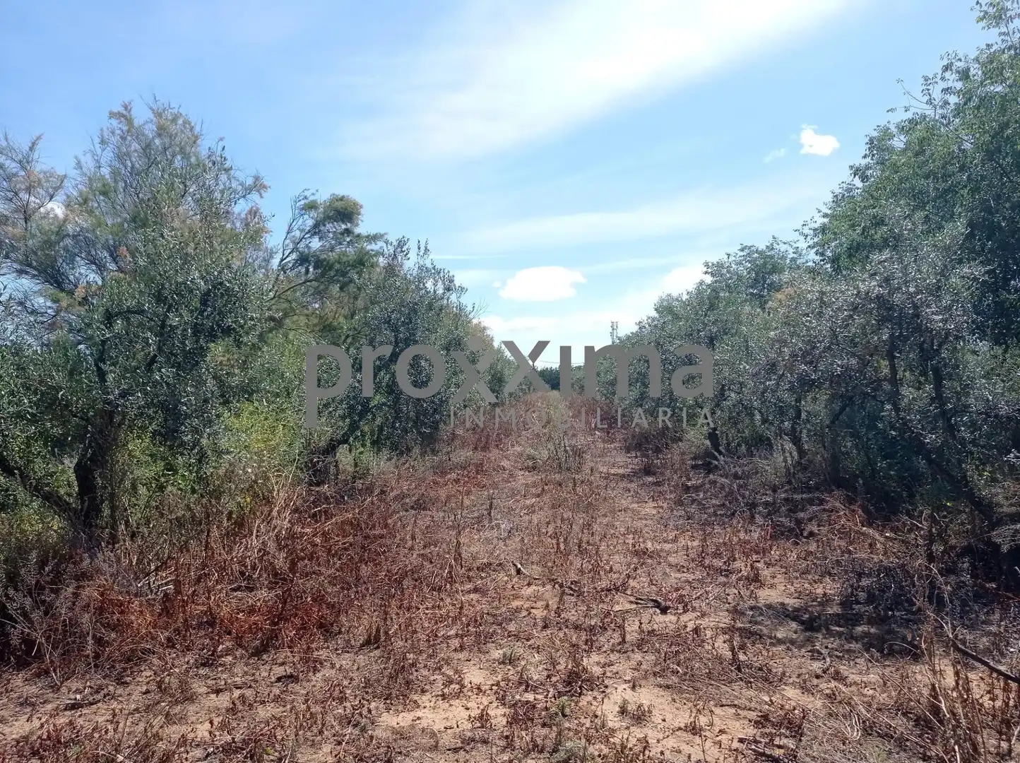 Rural land for sale in La Paz, imagen 2