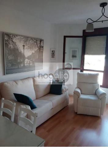 Sala d'estar de Pis de lloguer en  Sevilla Capital amb Aire condicionat, Calefacció i Terrassa