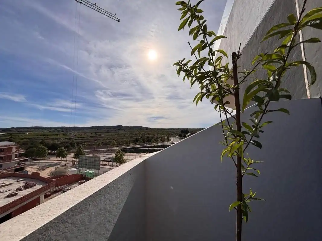 Apartamento con piscina en venta en San Miguel de Salinas, imagen 25