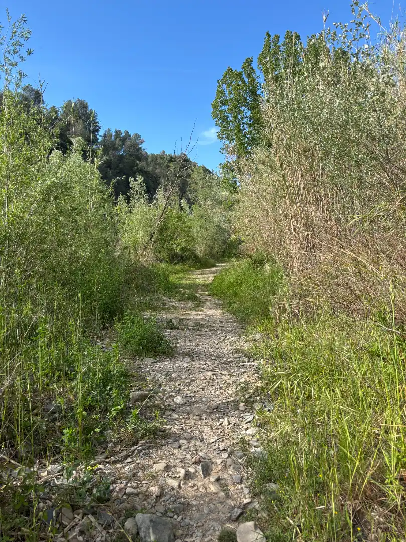 Land for sale in El Masroig