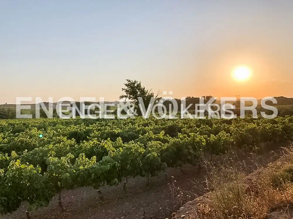Casa rústica con piscina en venta en Requena, imagen 52