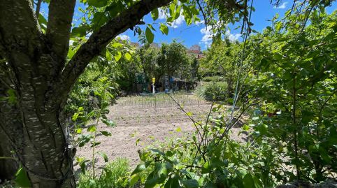 Foto 3 de Finca rústica en venda a Calle la Redonda, Espinosa de Cerrato, Palencia