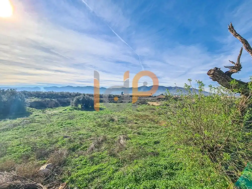House with garden for sale in Huércal-Overa, imagen 36