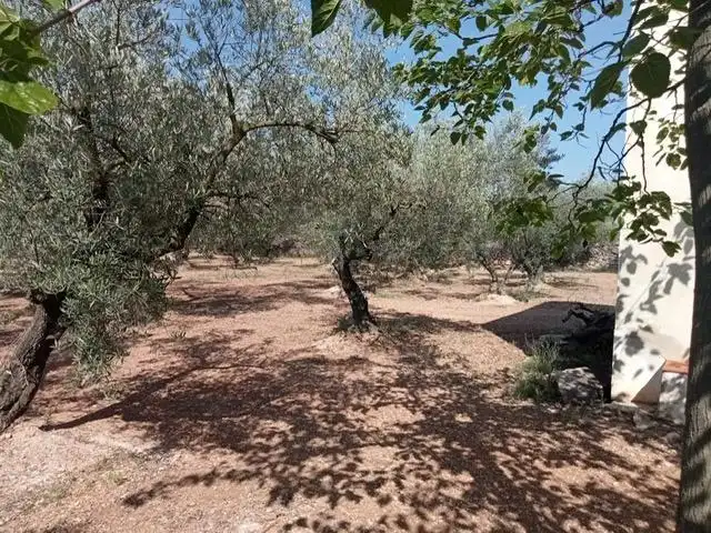 Casa rústica con piscina en venta en Ulldecona, imagen 13