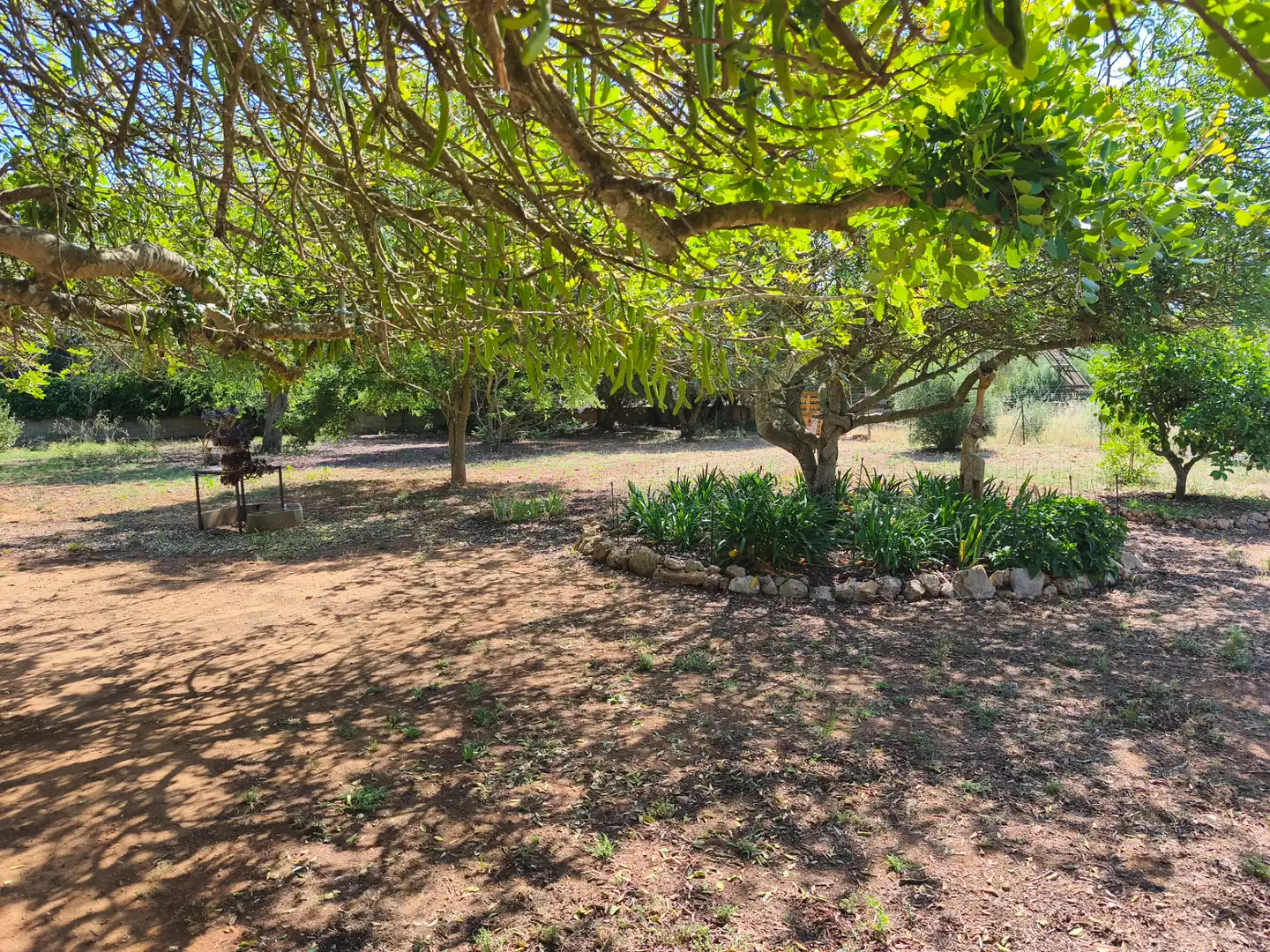 Villa mit Garten zum Verkauf in Algaida, imagen 8