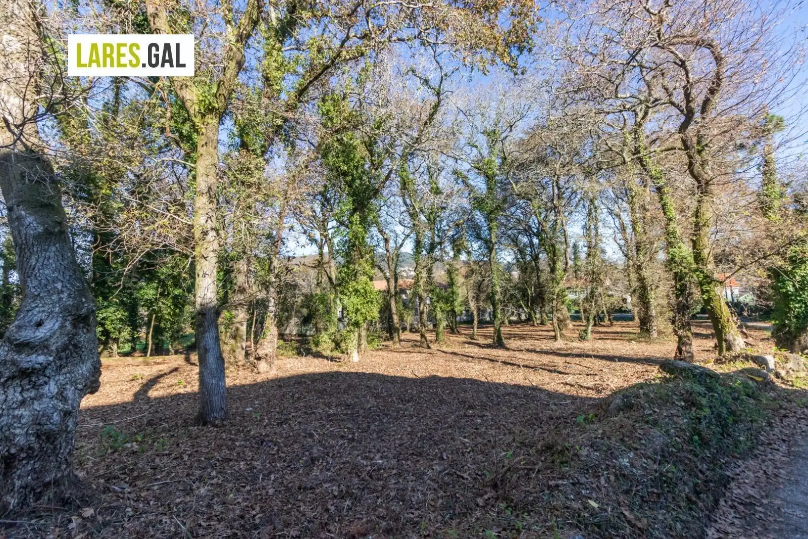 Lands and plots for sale in Rúa Ximeu, imagen 22