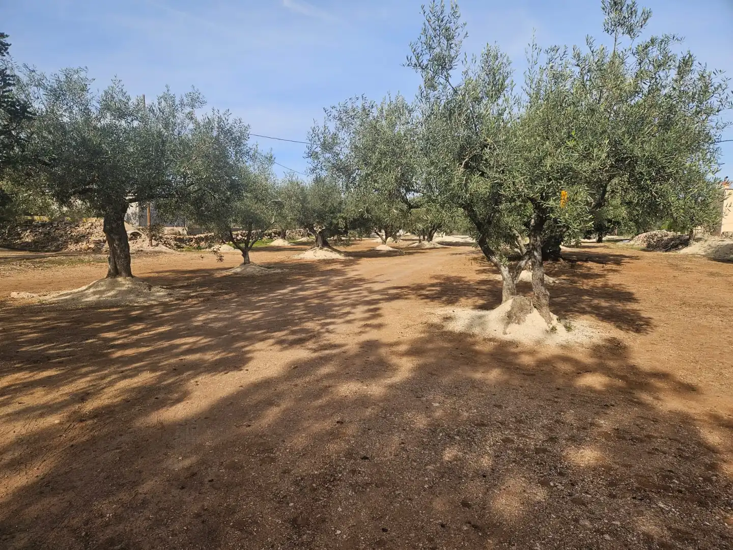 Rural land for sale in Aldover, imagen 34