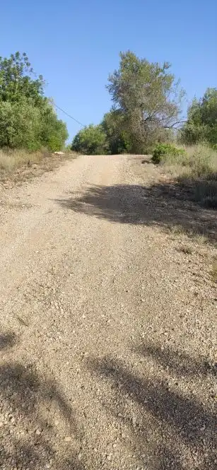 Country homes for sale in Eucaliptus - Poble Nou del Delta