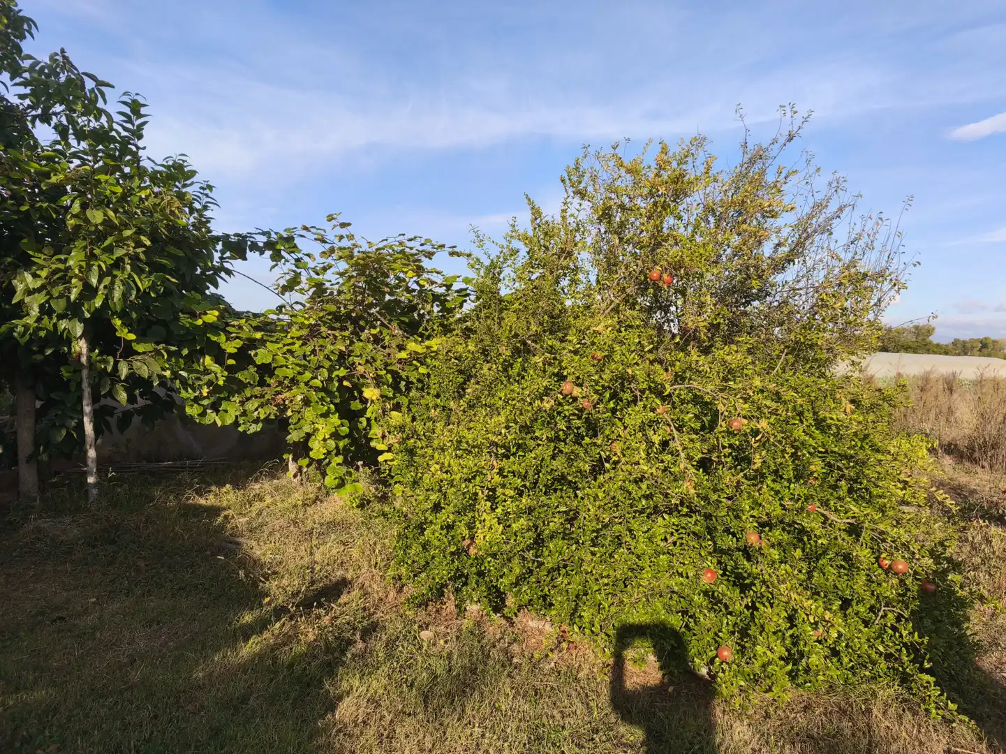 Land for sale in  Logroño