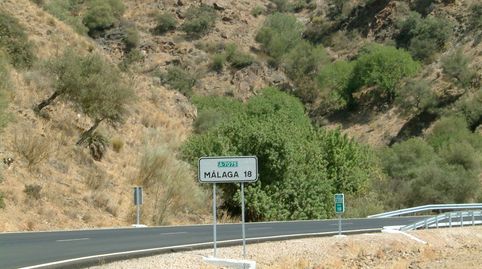 Finca en carretera de Almogía (Málaga), immagine 2