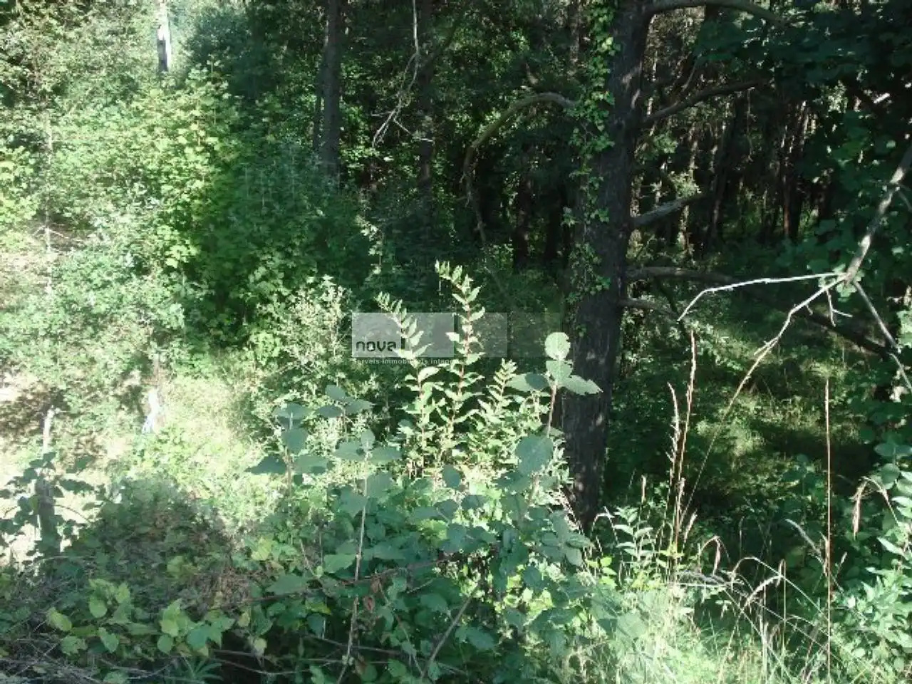 Residential land for sale in Muntanyola, imagen 3