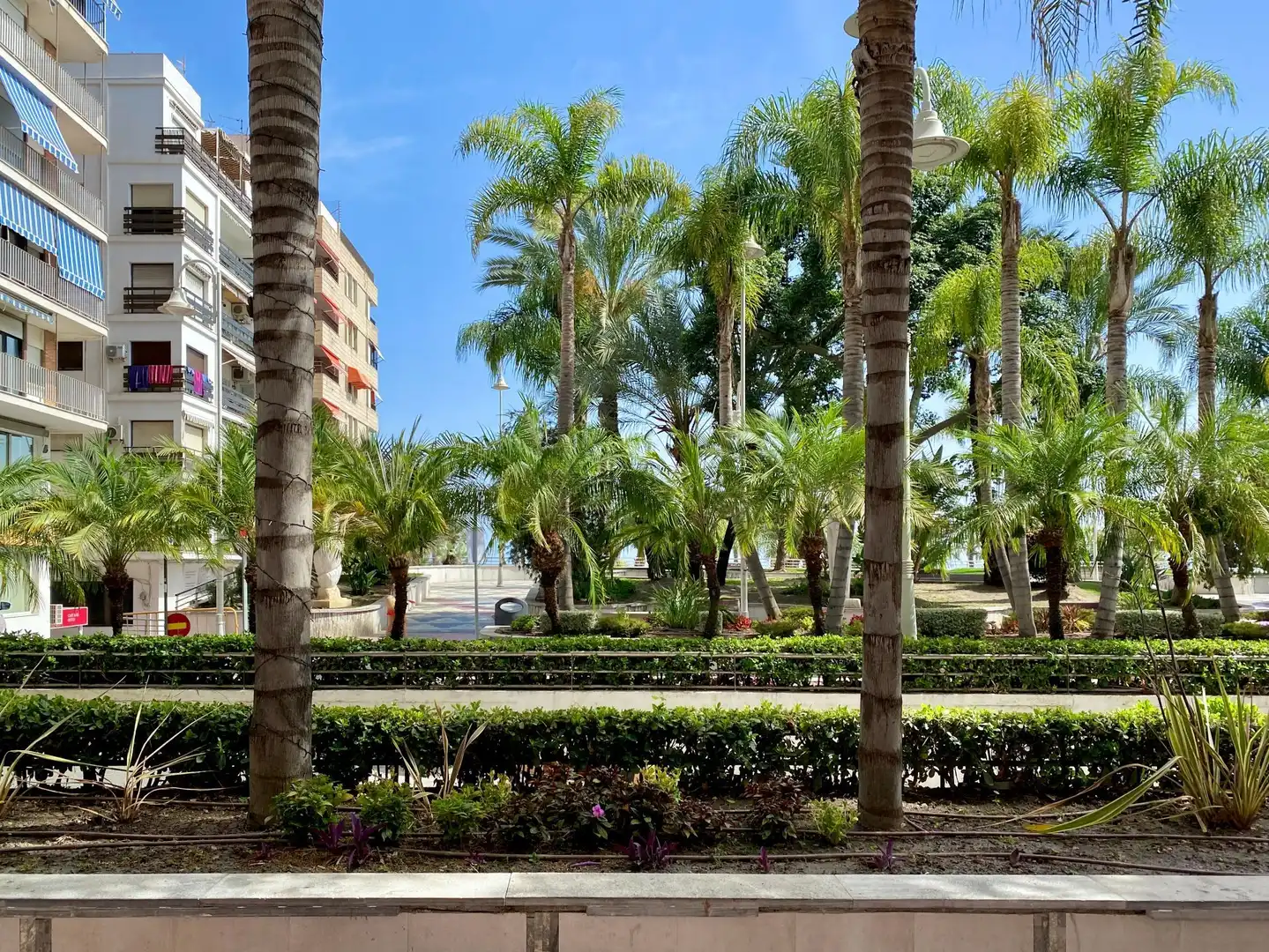 Business premises for transfer in del altillo 3, imagen 13