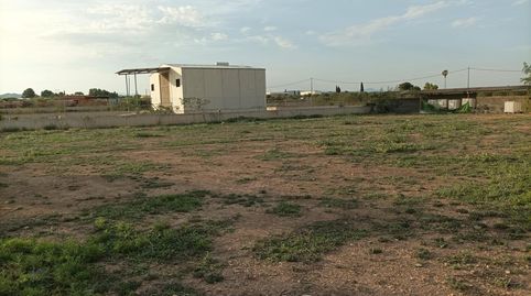 Oportunidad de Inversión Amplio Terreno Rural en Librilla, immagine 3