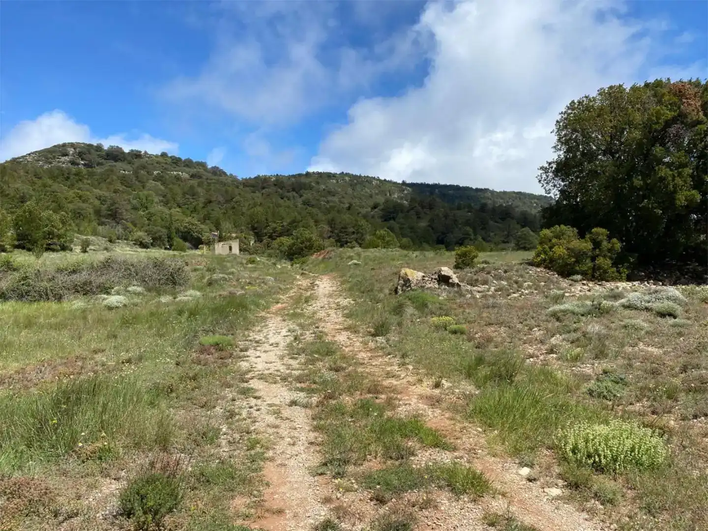 Finca rústica en venda en Arbolí amb Jardí privat