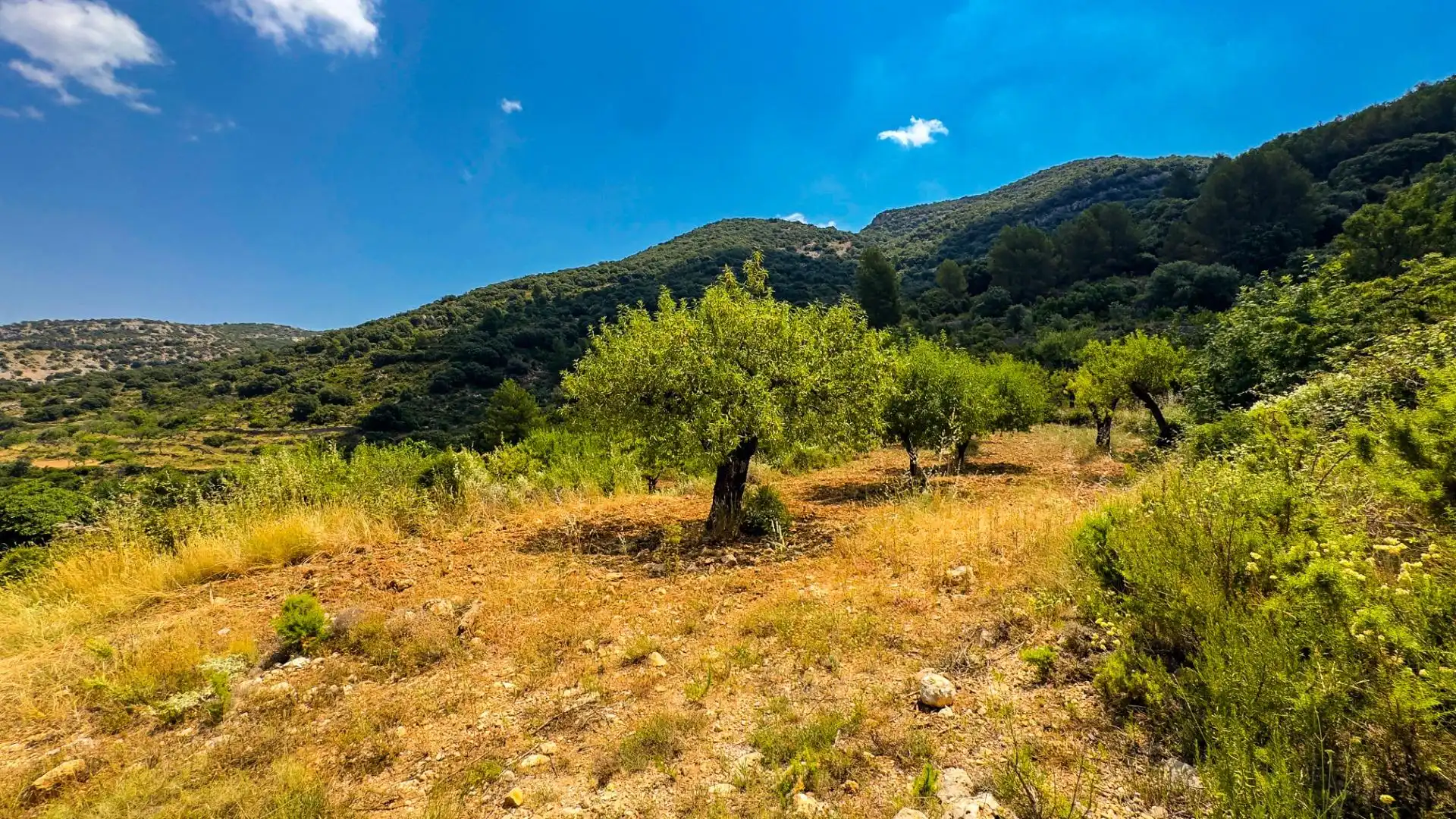 Residencial en venta en Sierra Engarcerán